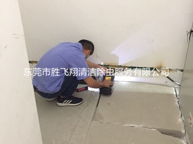 南城万科翡丽山楼道治白蚁