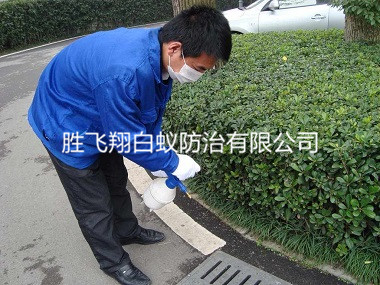 万江小区下水道杀虫灭蚊