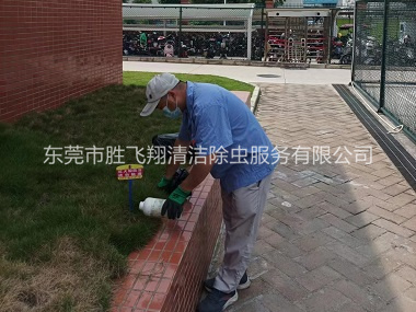 东莞校区灭红火蚁