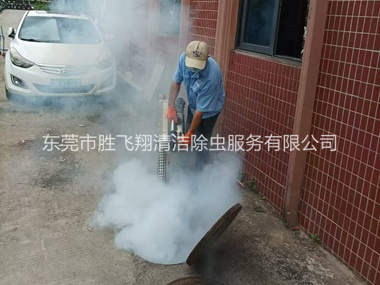 谢岗环境蟑螂消杀工程