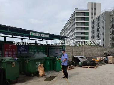 寮步蚊蝇孳生地消杀工程