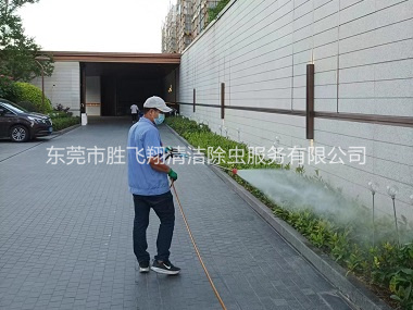 大岭山消杀蚊蝇工程