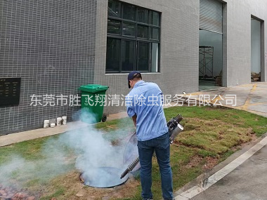 石碣厂区灭杀蟑螂蚊蝇工程