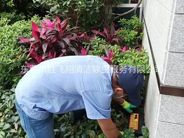东莞住宅环境灭鼠工程